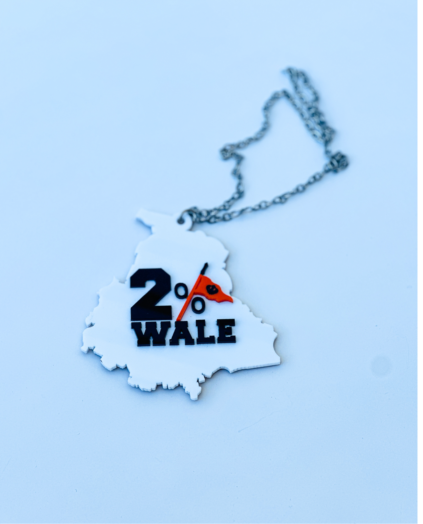 2% Wale Punjab Car Hanging | Rear View Mirror Hanging Accessory | Car Hanging