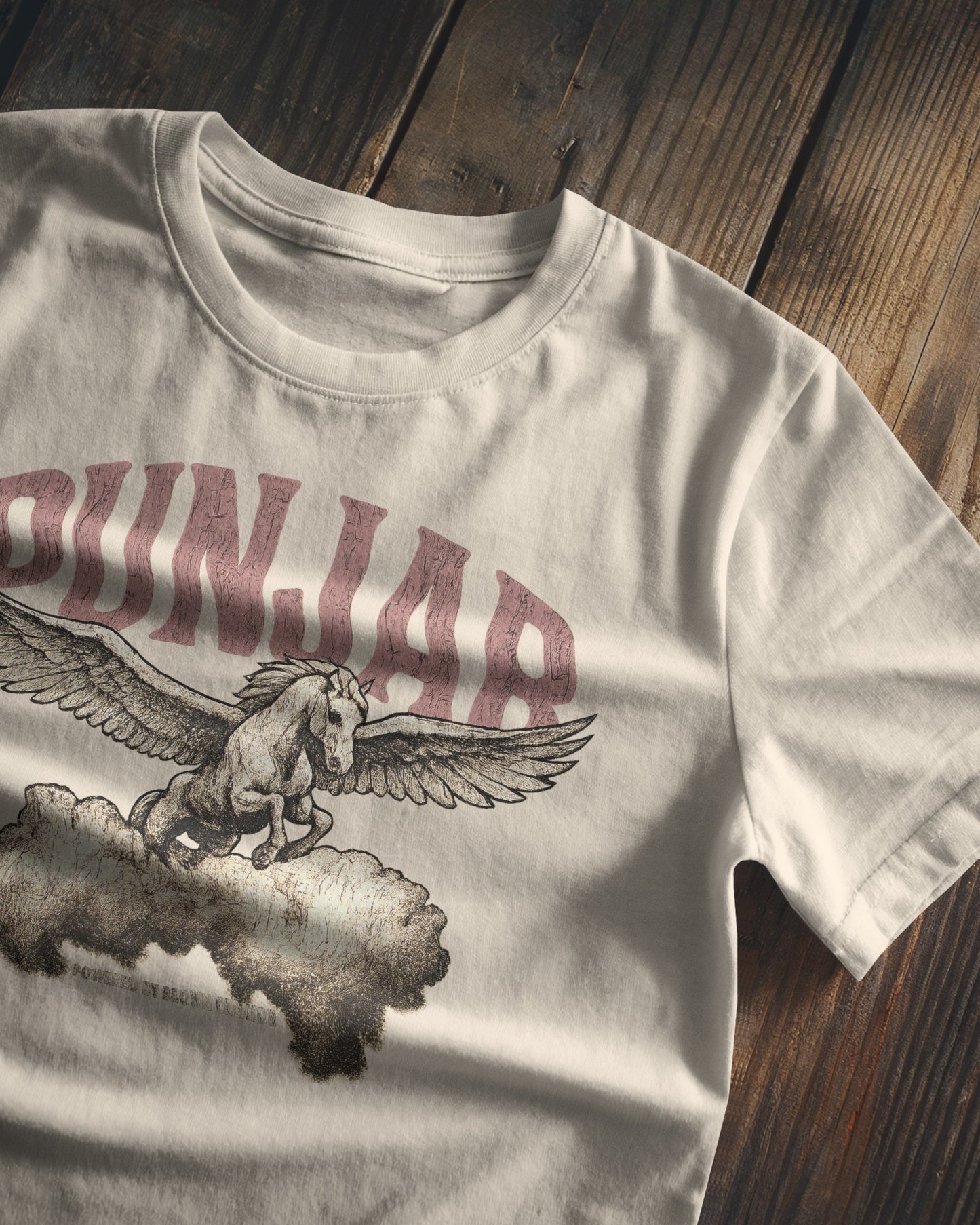 Punjab Cloud Horse T-shirt