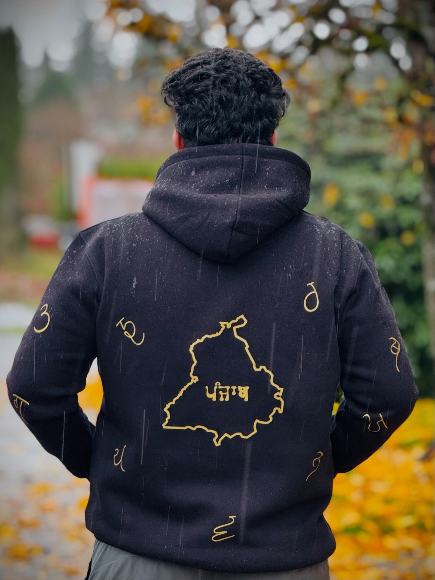 Maa boli 35 akhri punjabi Hoodie